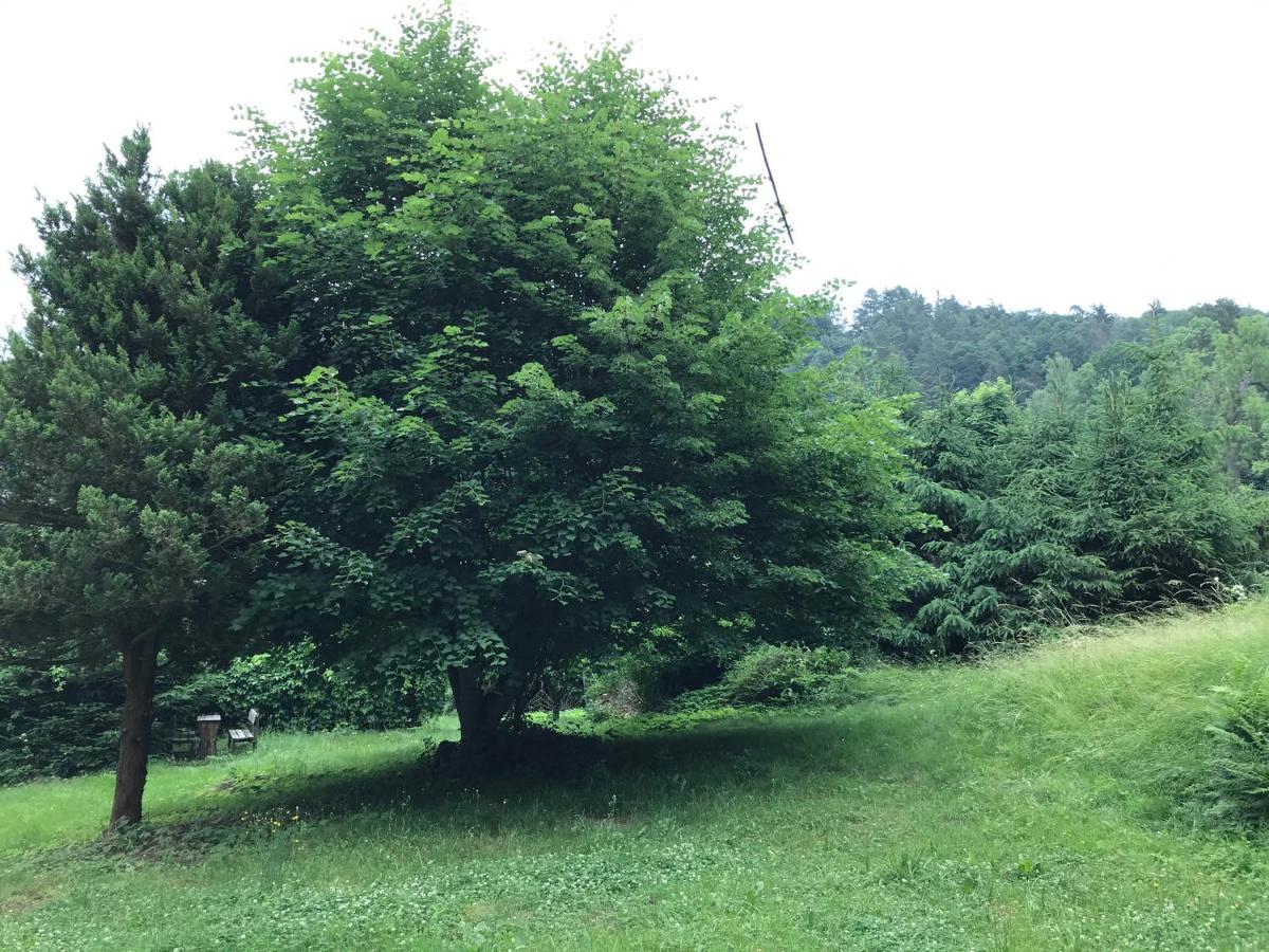 Apartmany Janska 外观 照片